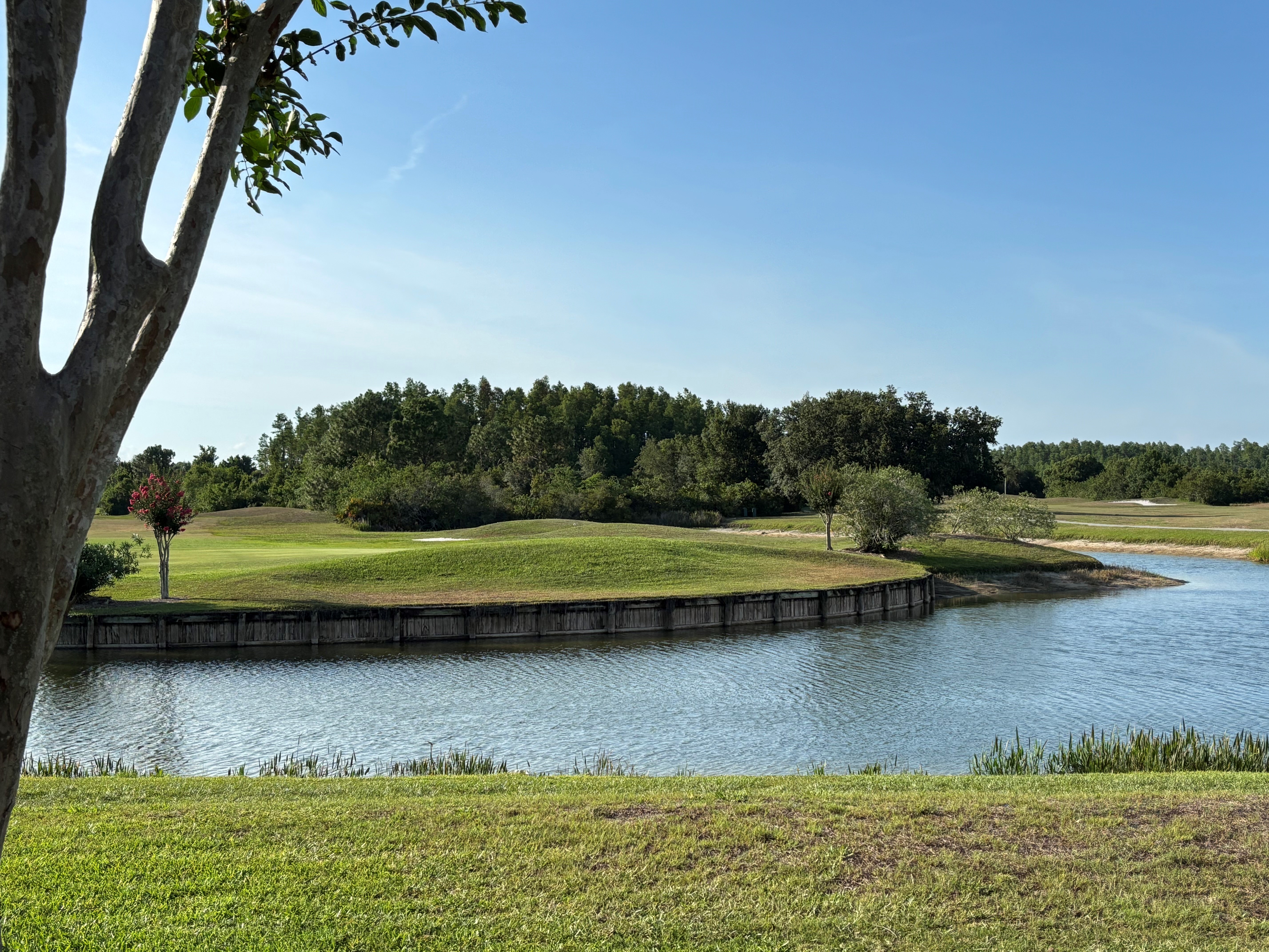 Pond on golf course with trees